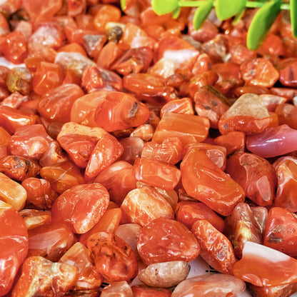 Natural Crystal Chip Stones – 50g/100g Gemstone Chips
